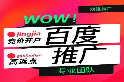 案例分析：SEM推广助力行业竞争突围